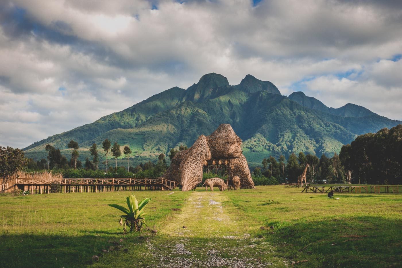 Volcano National Park