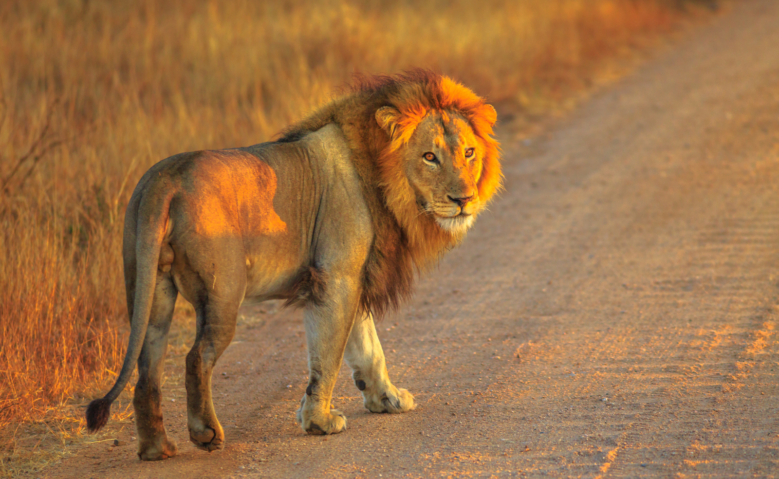 Akagera National Park