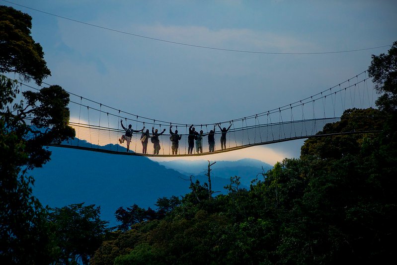 Nyungwe National Park