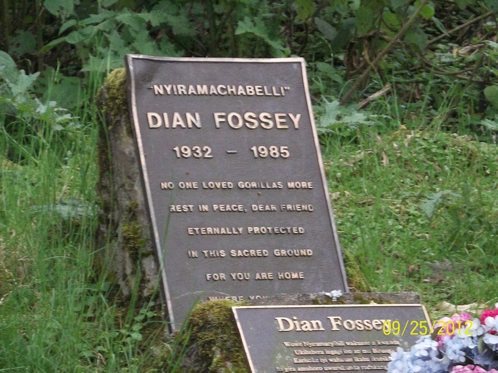 Dian Fossey Tomb Site